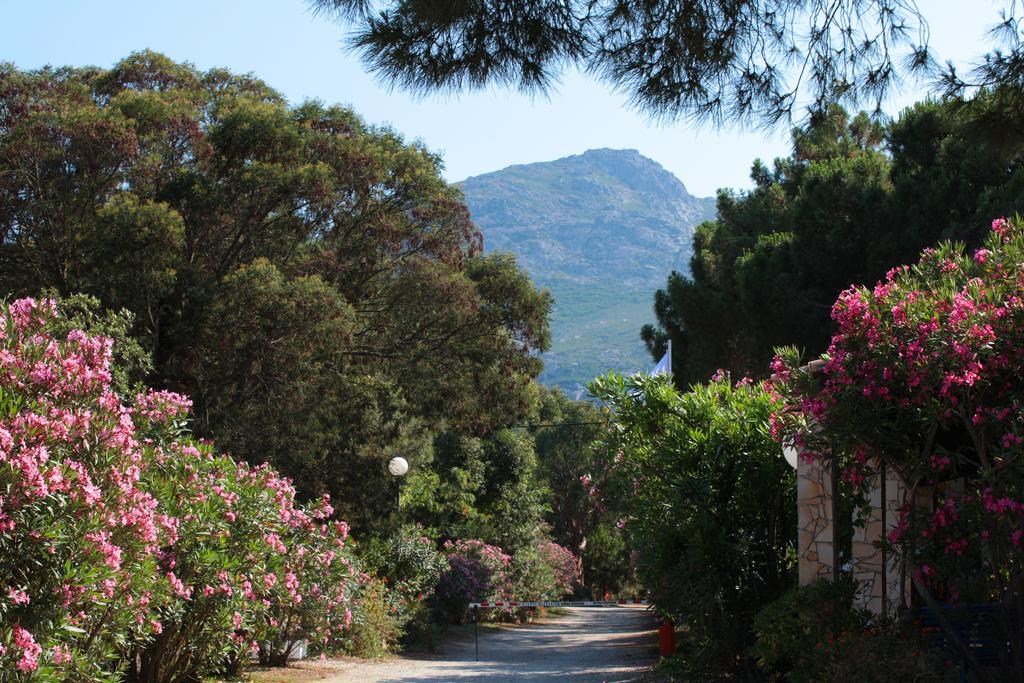 Bella Vista Campeggio